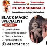 Astrologer MK Sharma Profile Picture